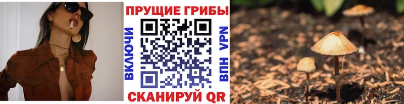 Купить где  Азнакаево  Галлюциногенные грибы мухоморы 